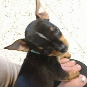 Meet your Posher, Alisha